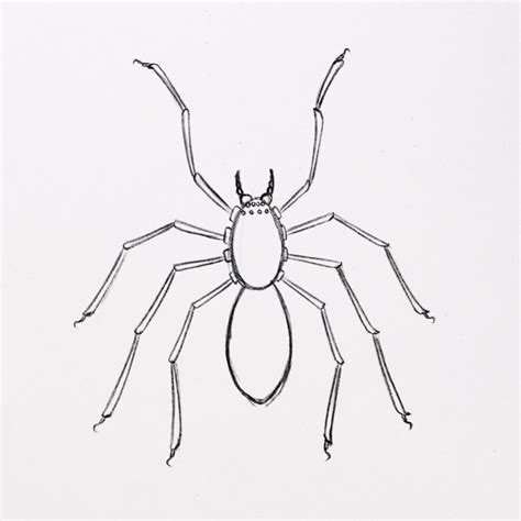 [60+] Spider.